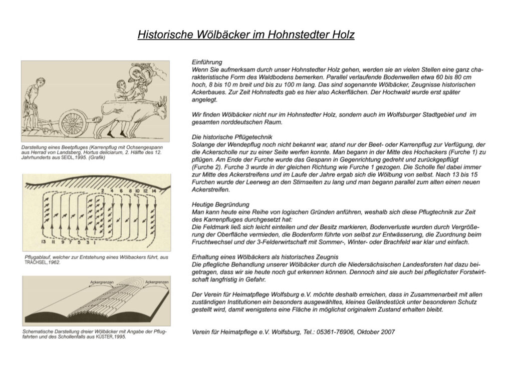 Wüstung Hohnstedt Bild 1